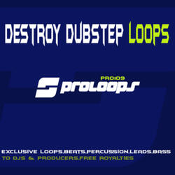 Destroy Dubstep Bass 4 128
