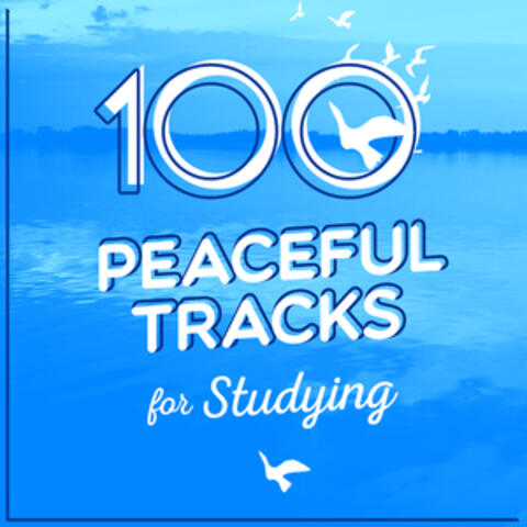 100 Peaceful Tracks for Studying
