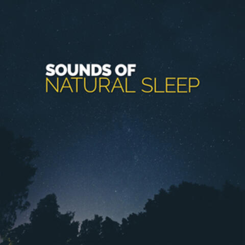 Sounds of Natural Sleep