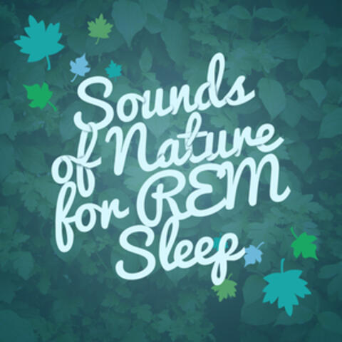 Sounds of Nature for R.E.M. Sleep