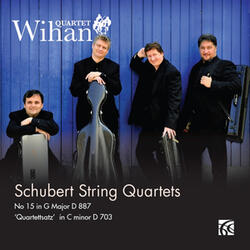 String Quartet No. 12 in C Minor, D. 703: Quartettsatz "Allegro assai"