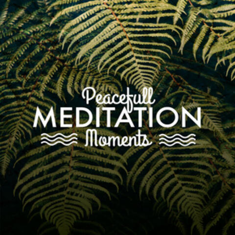 Peaceful Meditation Moments