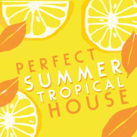 Perfect Summer Tropical House