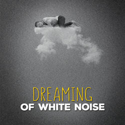 White Noise: Torrent