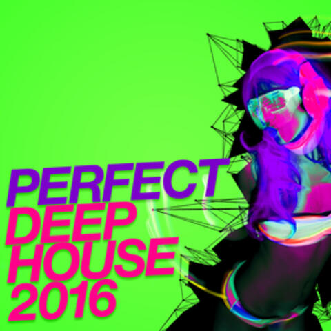 Perfect Deep House: 2016