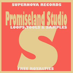 Promiseland Studio 128