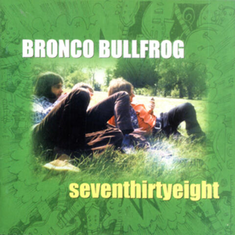 Bronco Bullfrog