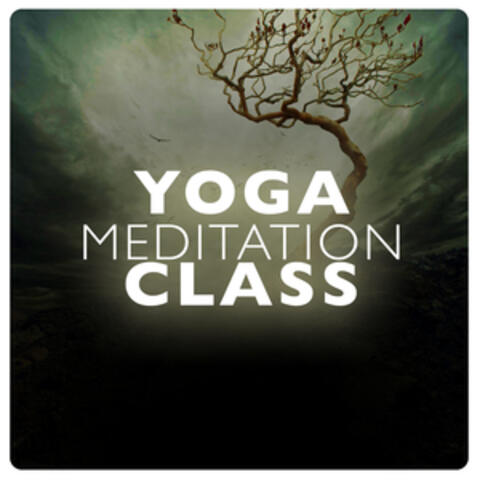 Yoga Meditation Class