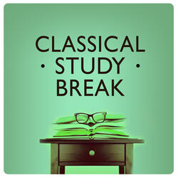 Piano Sonata No. 11 in a Major, K. 331: III. Alla Turca