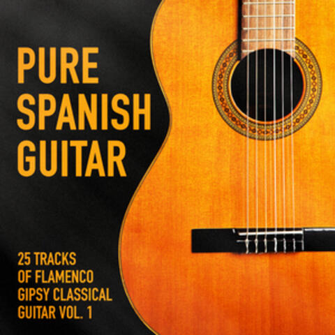 Pure Spanish Guitar, Vol. 1 (25 Tracks of Flamenco Gipsy Classical Guitar)