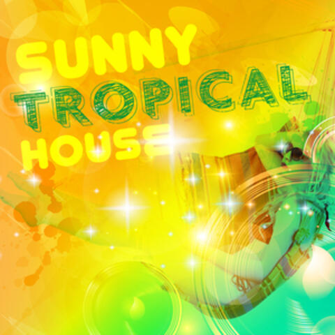 Sunny Tropical House