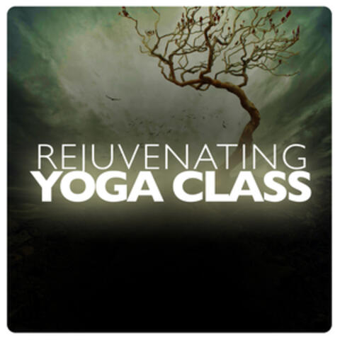 Rejuvenating Yoga Class