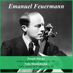 Cello Concerto In D Major, Op. 101: I. Allegro moderato