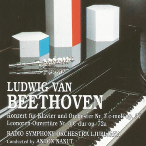 Ludwin van Beethoven