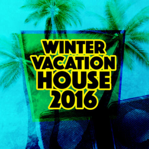 Winter Vacation House 2015