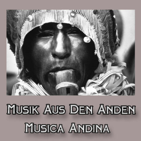 Musik Aus Den Anden - Musica Andina