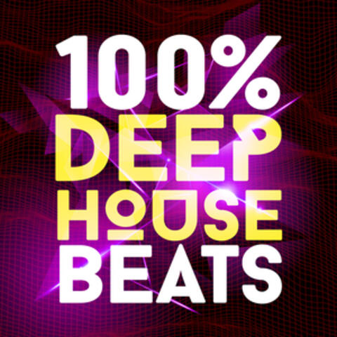 100% Deep House Beats