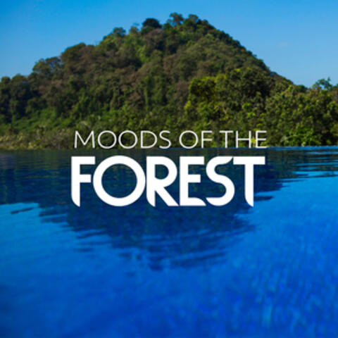 Moods of the Forest