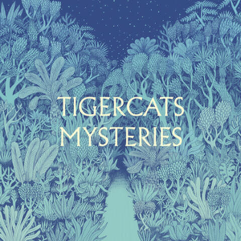 Mysteries