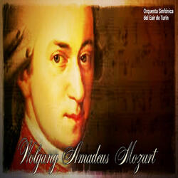 Symphony No. 40 in G Minor, K. 550: III. Menuetto