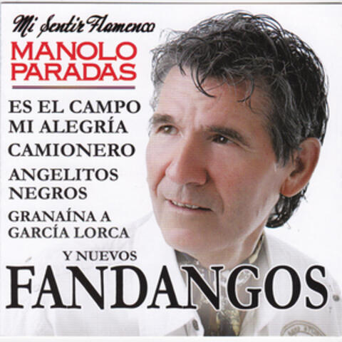 Mi Sentir Flamenco