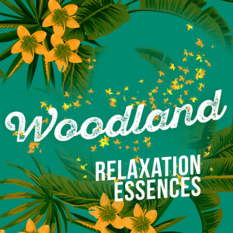 Woodland Relaxation Essences