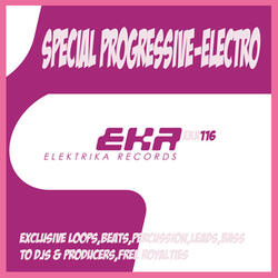 Special Progressive-Electro BASS5 128 (Tool 12)