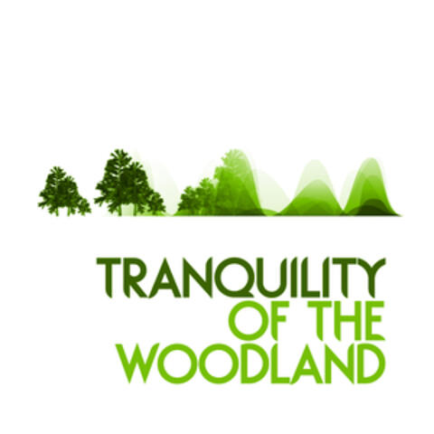 Tranquility of the Woodland