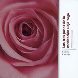 Conexión Con el Ser Supremo