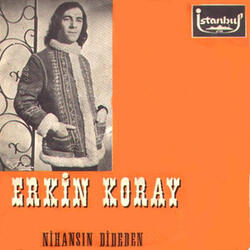 Nihansın Dideden