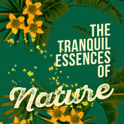 The Tranquil Essences of Nature