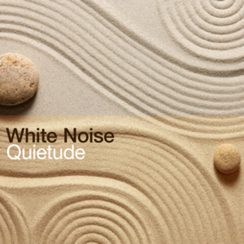White Noise Quietude