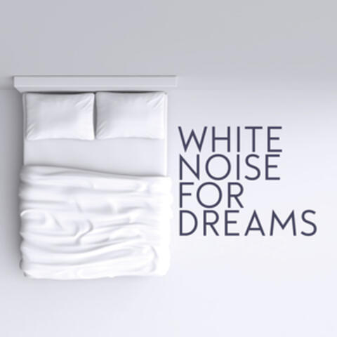 White Noise for Dreams