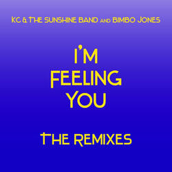 I'm Feeling You (Ralphi Rosario Club Mix)