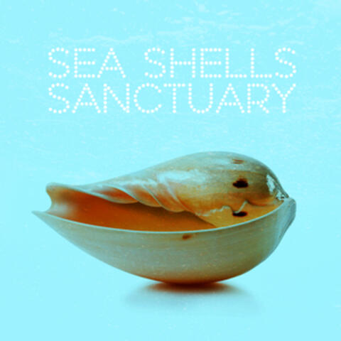 Sea Shells Sanctuary