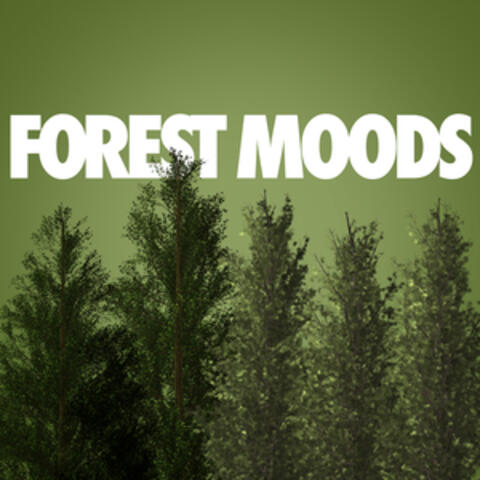 Forest Moods