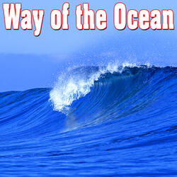 Meditative Ocean Waves and Seagulls