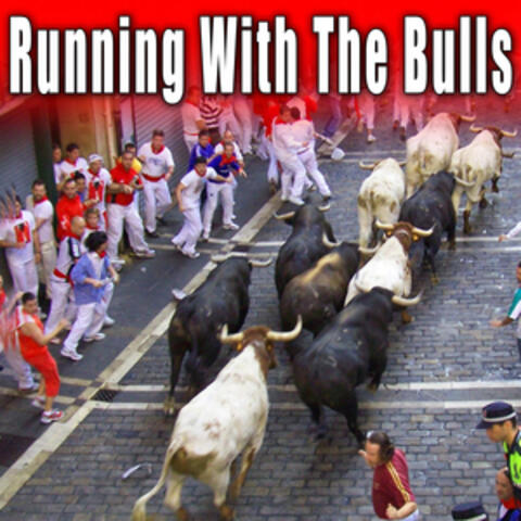 Running with the Bulls