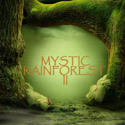 Mystic Rain Forest II