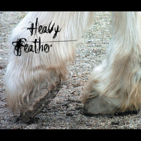 Heavy Feather