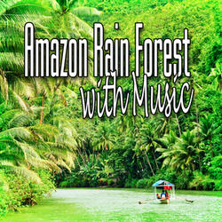 Rain Forest Meditation and Healing Music (Nature Sounds)