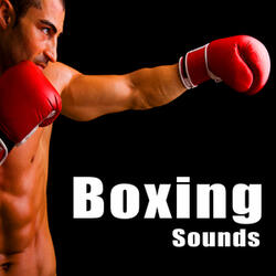 8 Boxing Punch Impacts