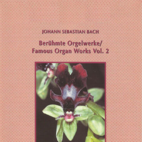 Johann Sebastian Bach - Famous Organ Works