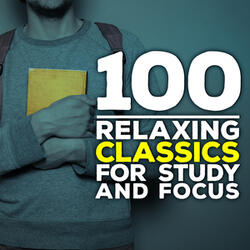 Concerto for Two Violins, Strings and Continuo in D Minor, BWV 1043: II Largo ma non tanto