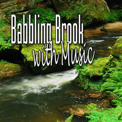 Harp Music and Brook Meditation (Nature Sounds)