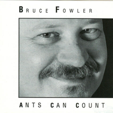 Ants Can Count