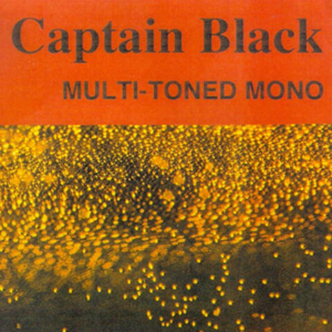 Multi-Toned Mono