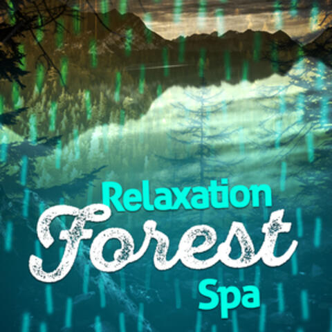 Relaxation Forest Spa