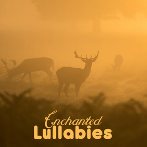 Enchanted Lullabies