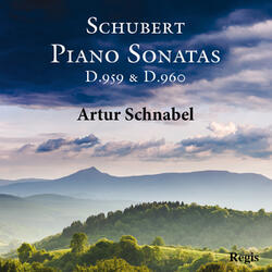 Piano Sonata in A Major, D. 959: II. Andantino